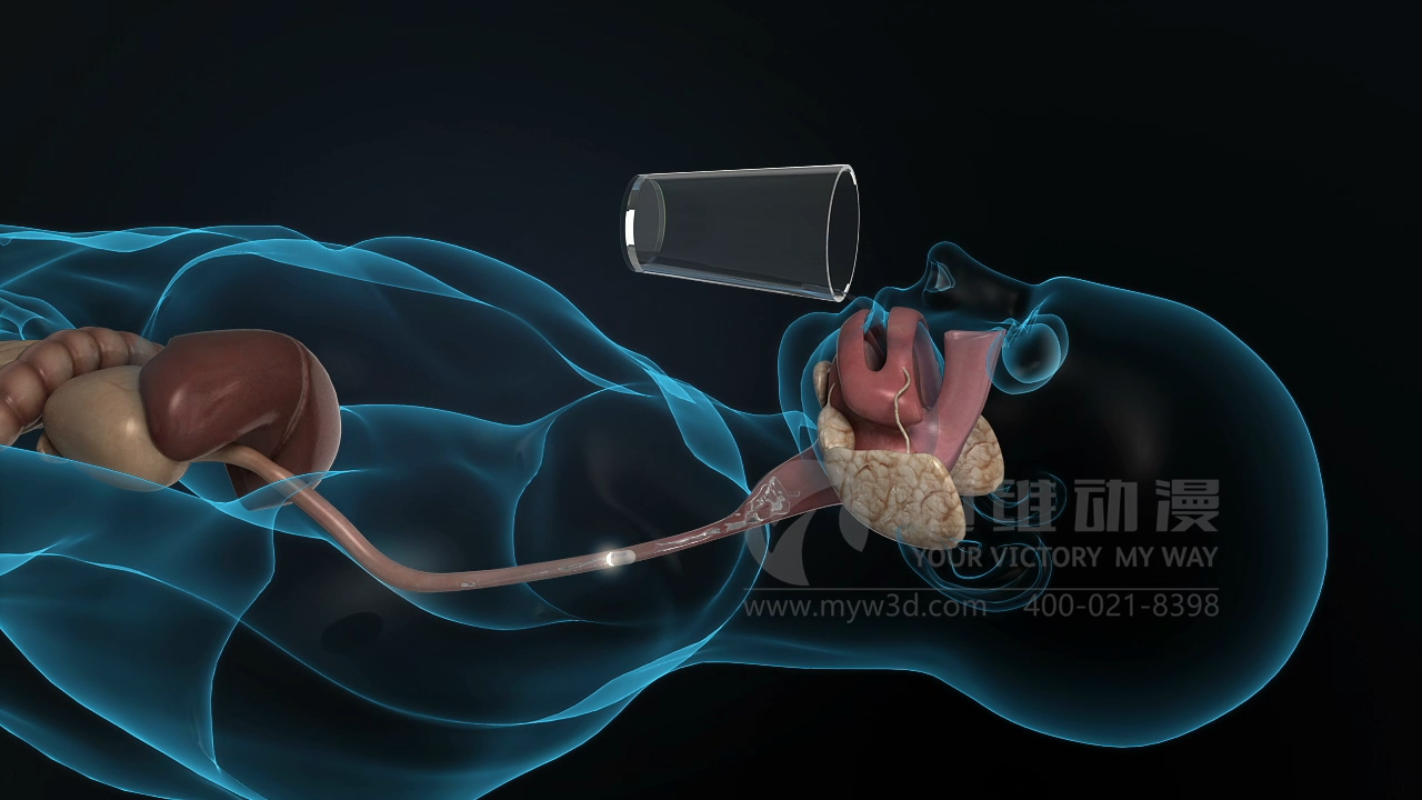 醫(yī)療三維動(dòng)畫(huà).png