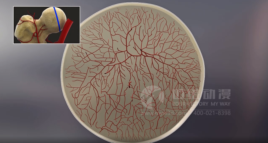 醫(yī)學醫(yī)療行業(yè)為什么青睞于三維動畫？(圖5)