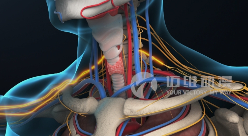 火爆出圈的“三維動(dòng)畫(huà)”，能為醫(yī)學(xué)行業(yè)發(fā)展帶來(lái)哪些機(jī)遇？(圖3)