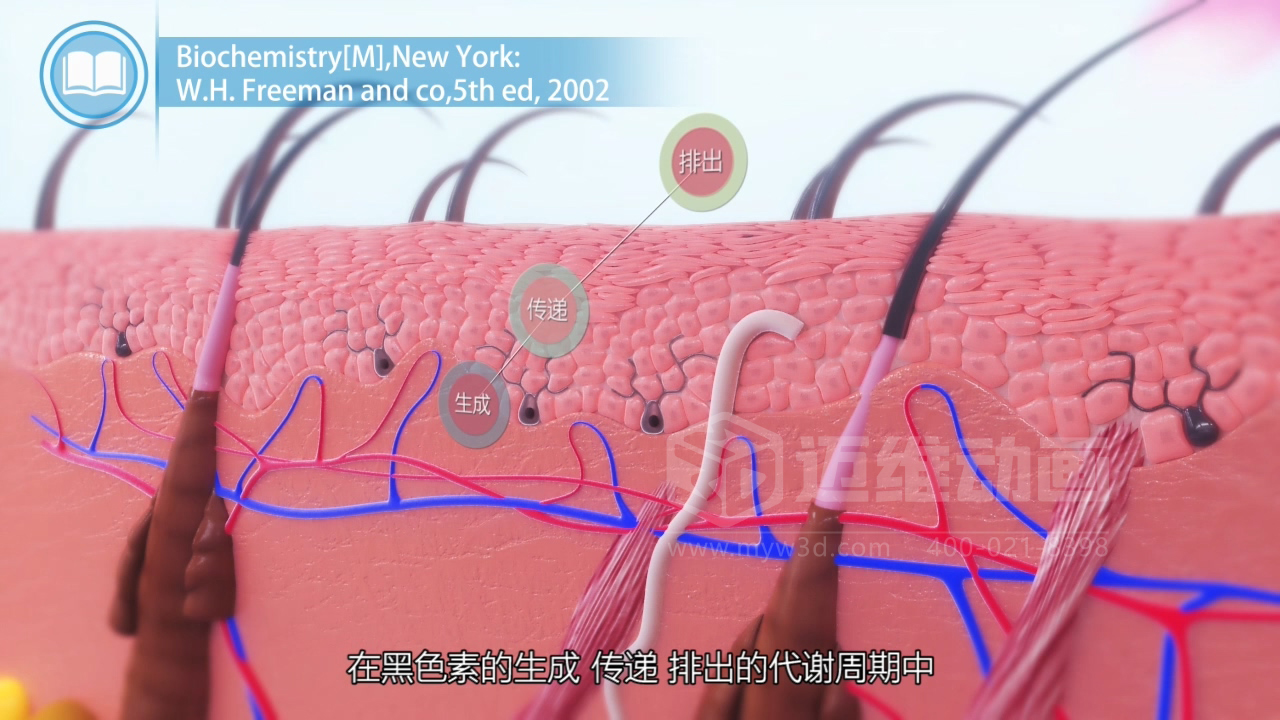 醫(yī)學(xué)科普從來不是 “天書”：三維動(dòng)畫讓復(fù)雜科學(xué)原理輕松 get！(圖2)